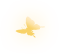 betterfly 3