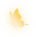 betterfly 4