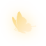 betterfly 5